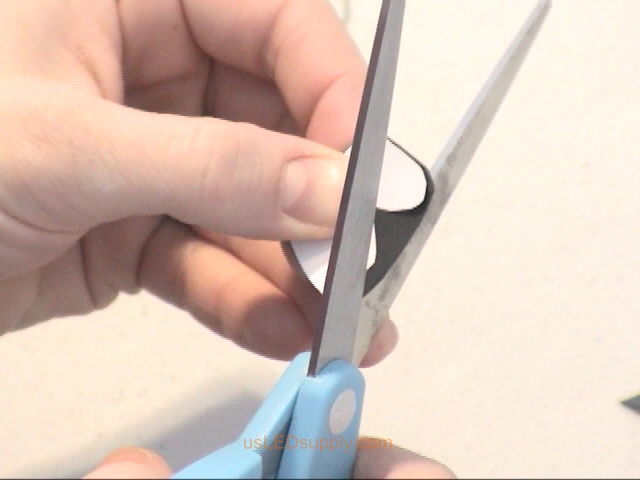 Cutting out different sizes and shapes of butterflies.