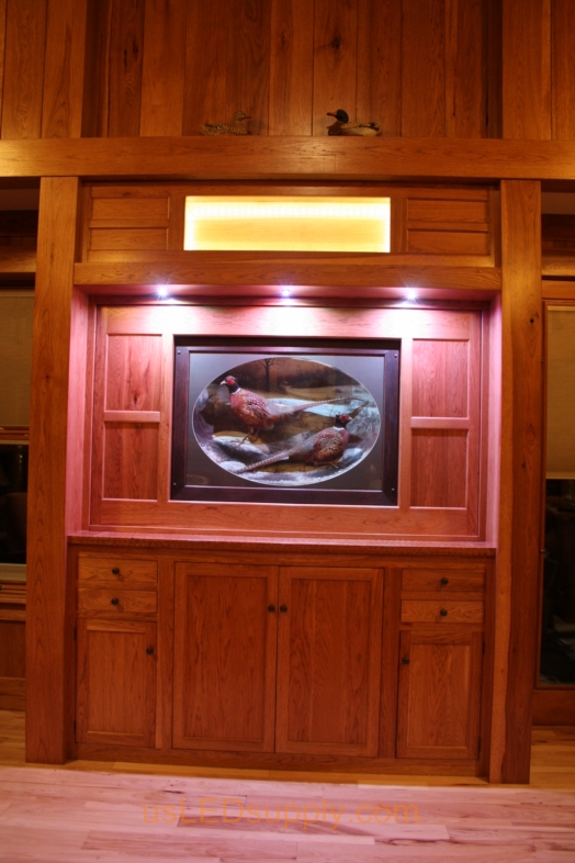 The centerpiece in relation to the woodworking of the livingroom.