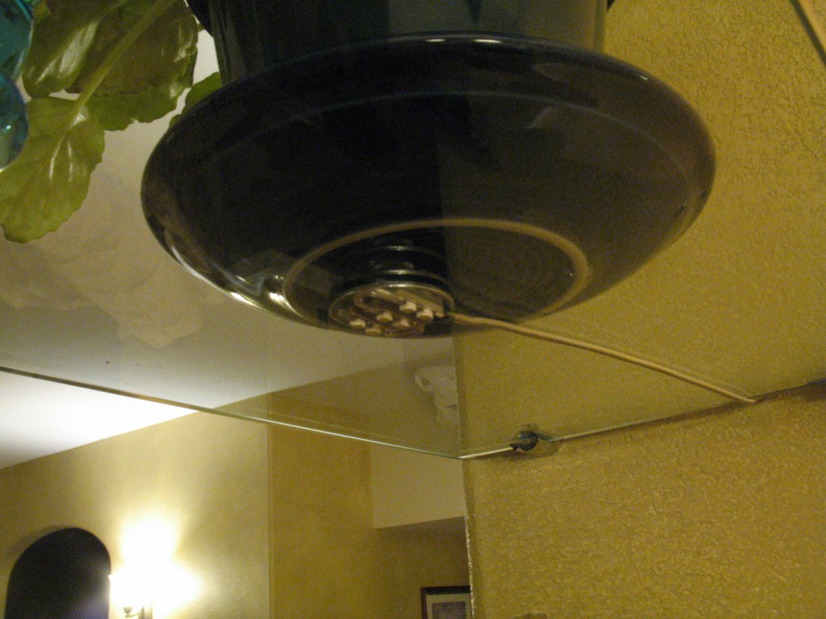 3 Warm White SMD LED Modules Mini mounted under glass plant shelves.