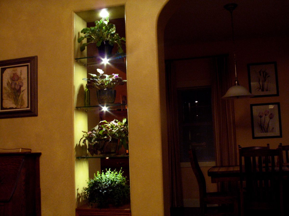3 Warm White SMD LED Modules Mini mounted under glass plant shelves.