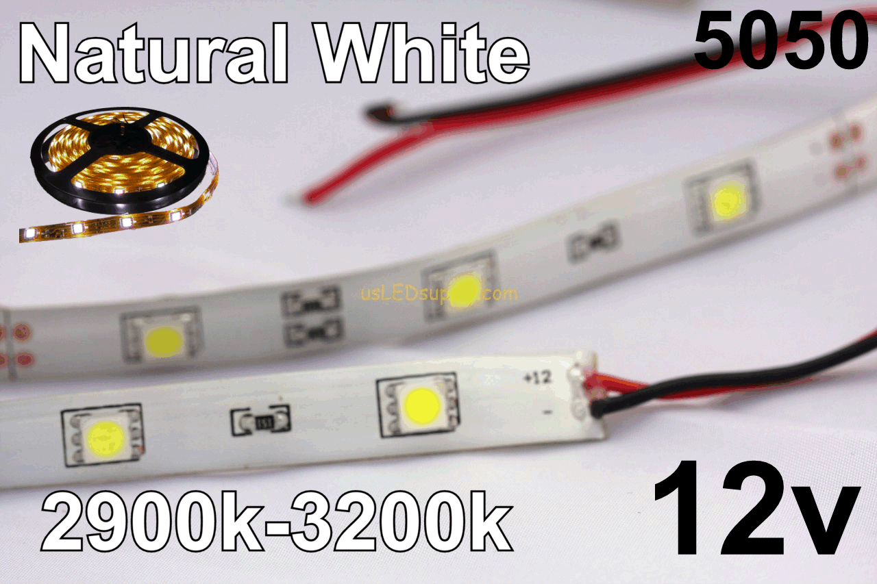 12V Natural White Flexible LED Strip 16' Roll