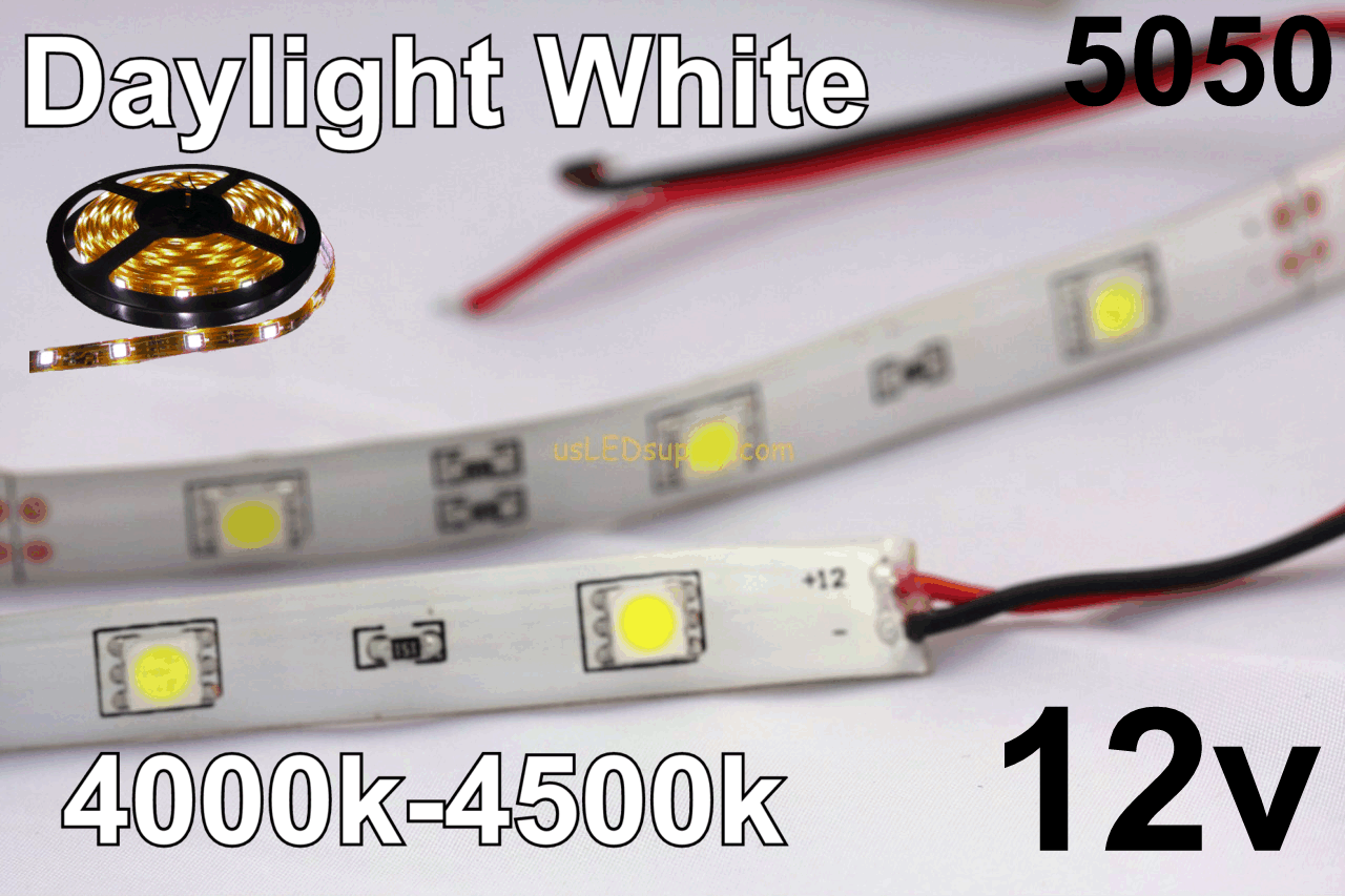 12V Daylight White Flexible LED Strip (IP-65) 30/M 150/Roll 16' Reel 4000-4500K