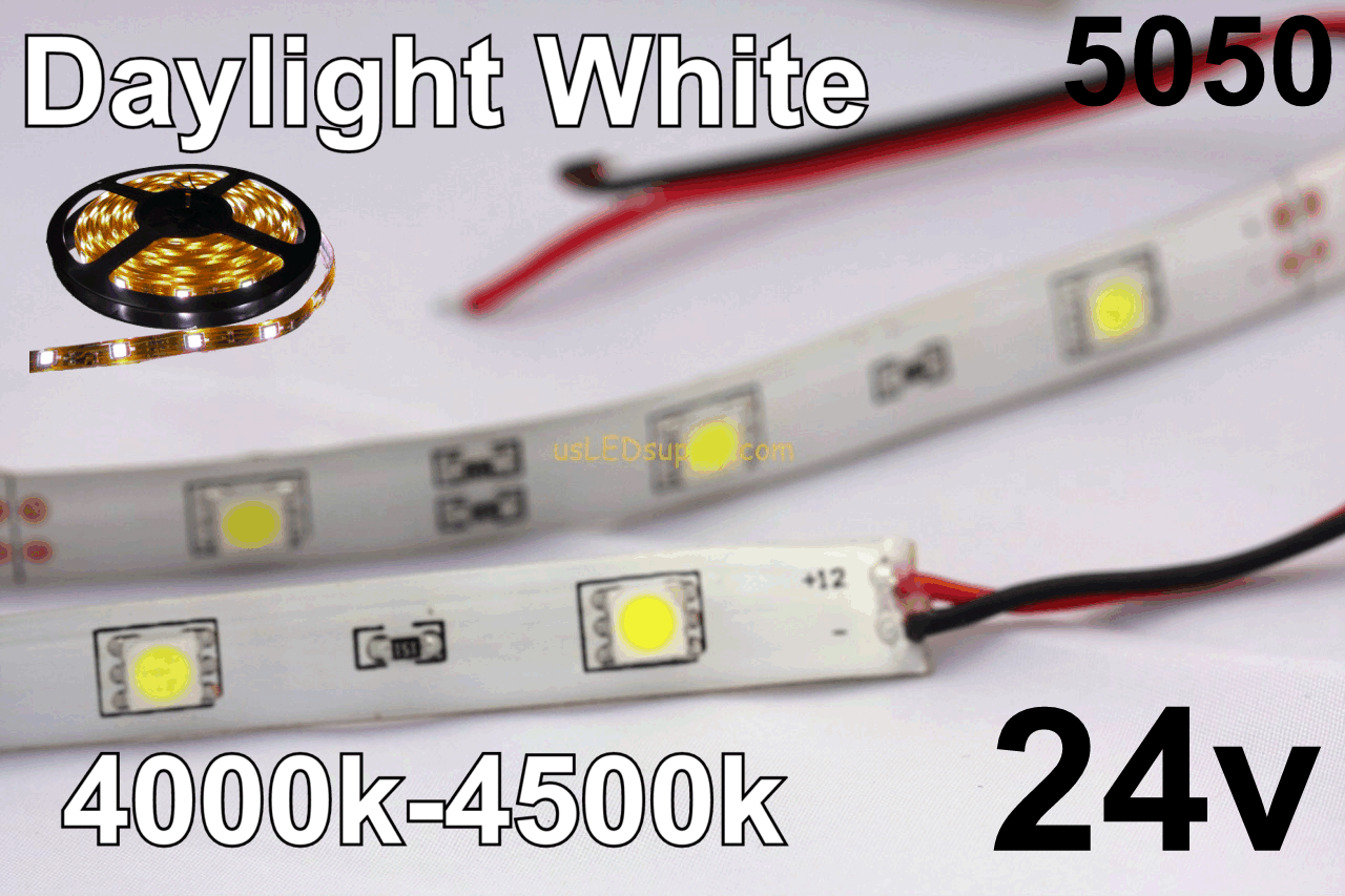 24v Daylight White Flexible LED Strip (IP-65) 30/M 150/Roll 4000-4500K