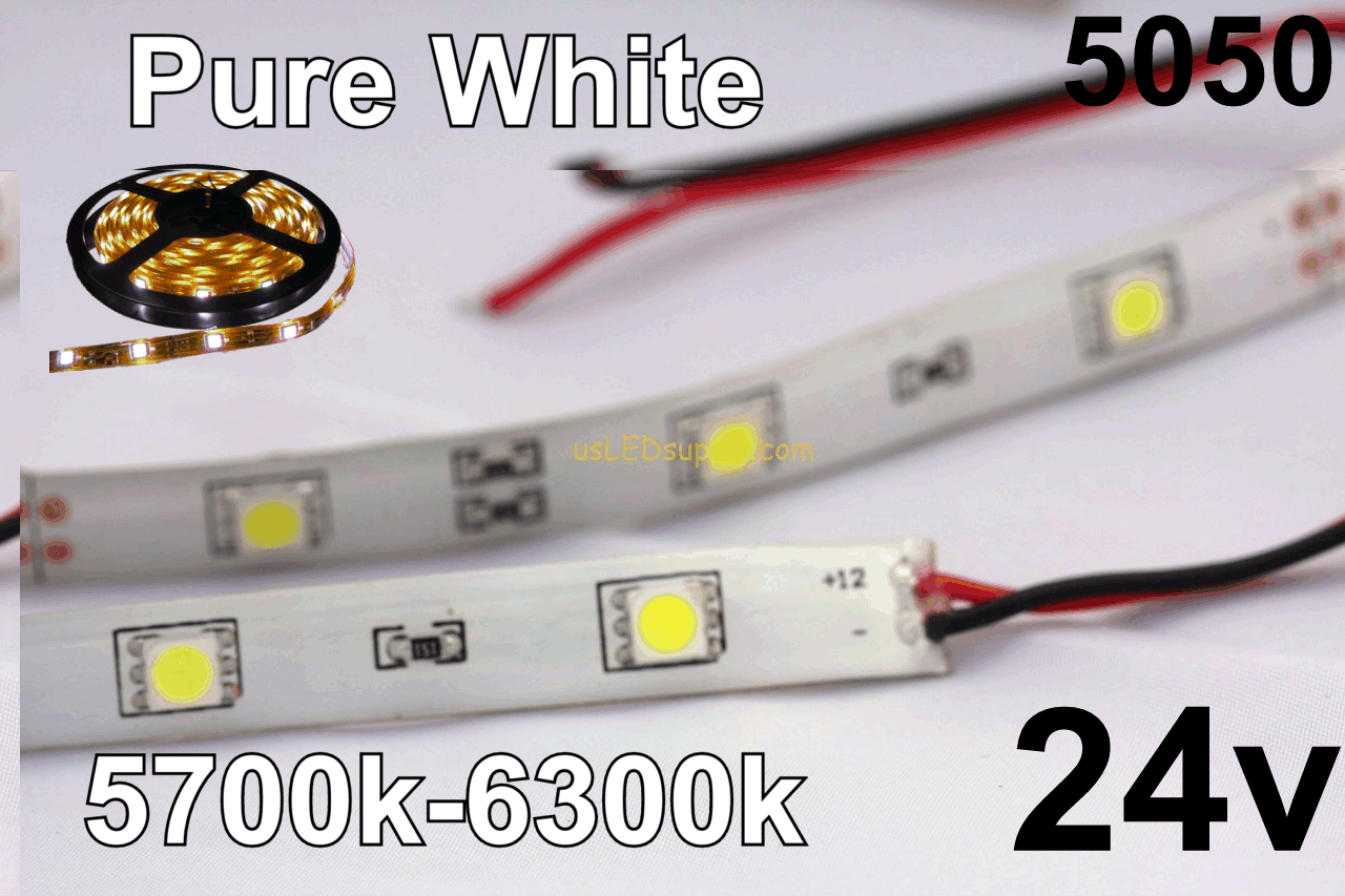 24v Pure/Cool White Flexible LED Strip (IP-65) 30/M 150/Roll 5700k-6300K