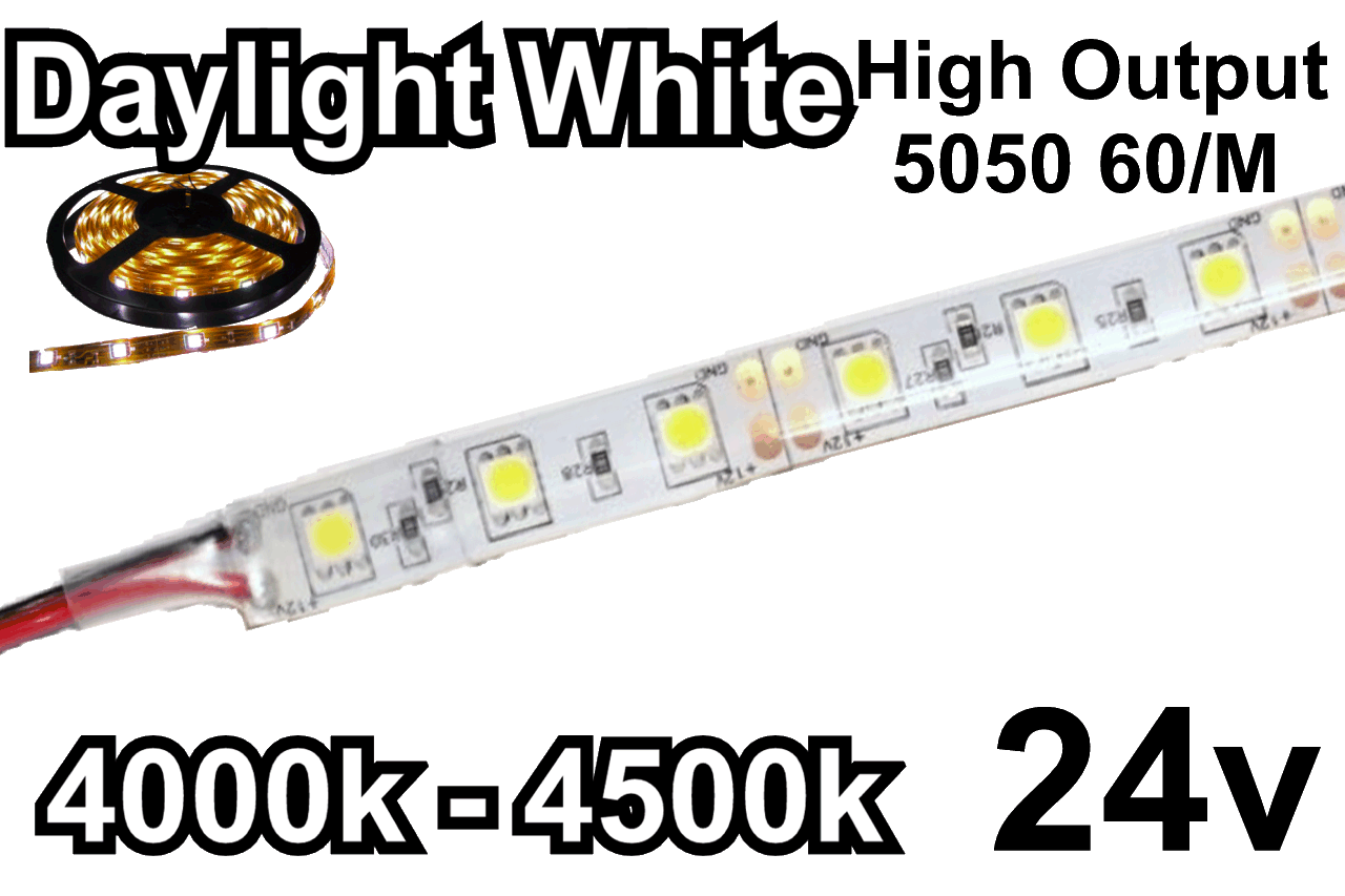 24V Daylight White Flexible LED Strip (IP-65) (High Output) 60/M 300/Roll 4000-4500K