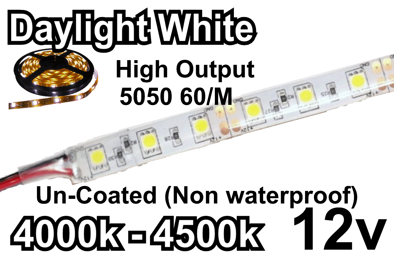 Flex Strip Daylight  White 5050 12v un-coated.jpg