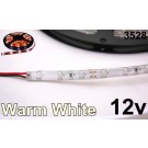 12V Warm White 3528 Flexible LED Strip 16' Roll