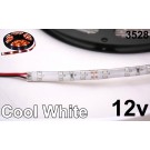 12V Cool White 3528 Flexible LED Strip 16' Roll