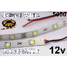 12V Natural White Flexible LED Strip 16' Roll