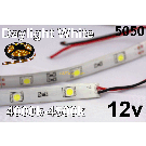 12V Daylight White Flexible LED Strip (IP-65) 30/M 150/Roll 16' Reel 4000-4500K