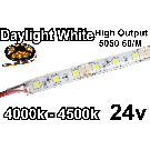 24V Daylight White Flexible LED Strip (IP-65) (High Output) 60/M 300/Roll 4000-4500K