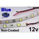 Flex Strip Blue 5050 12v un-coated.jpg