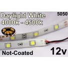 Flex Strip Daylight  White 5050 12v un-coated.jpg