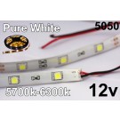12v Pure/Cool White Flexible LED Strip (IP-65) 30/M 150/Roll 5700k-6300K