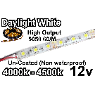 Flex Strip Daylight  White 5050 12v un-coated.jpg