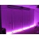 Purple of color changing 12V RGB Flexible LED Strip (Sold by the Foot)