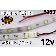 12V Natural White Flexible LED Strip 16' Roll