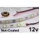 Flex Strip Warm White 5050 12v un-coated.jpg