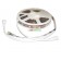 12v RGB Flexible LED Strip 16' Roll (Digital Point Control)