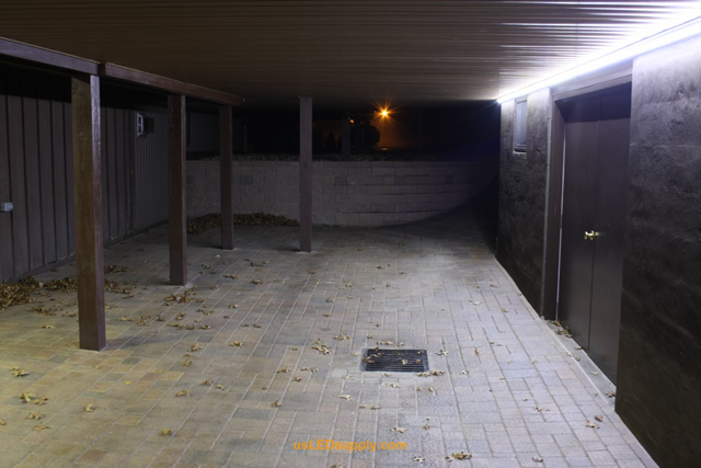 cool white flex strips