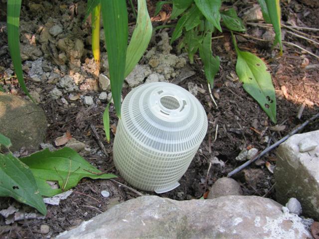 Set out your lights where you would like them to go, so that you can estimate how much wire you will need.