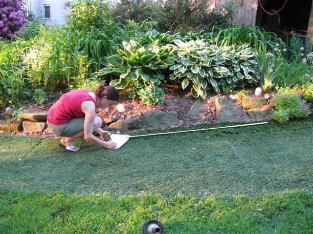 Measure how far apart each light will be, to determine how much control cable you will need.
