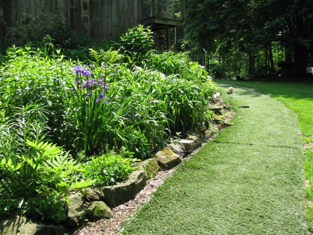 Look at your garden and decide where you would like to put your garden path lights.